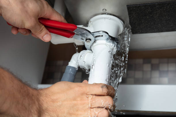 Best Water damage cleanup near me  in Dunmore, PA