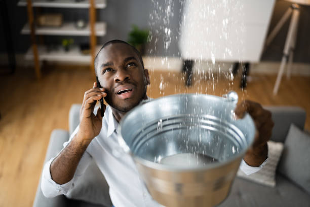 Best Ceiling water damage repair  in Dunmore, PA