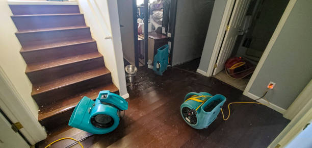Best Local water damage restoration  in Dunmore, PA