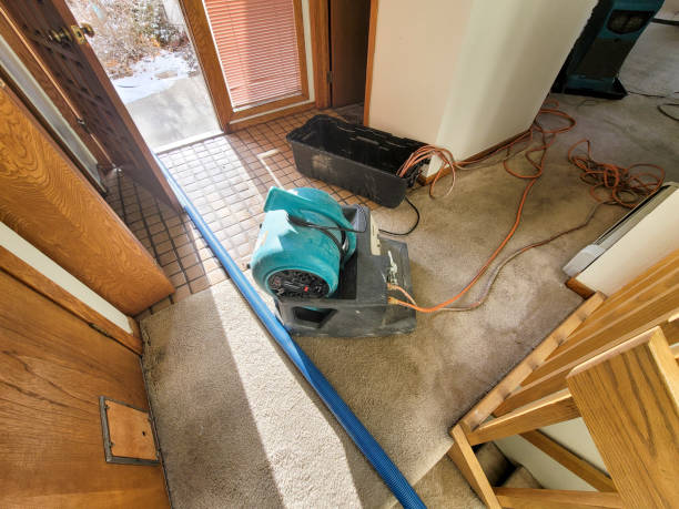 Best Sewage cleanup and water damage restoration  in Dunmore, PA