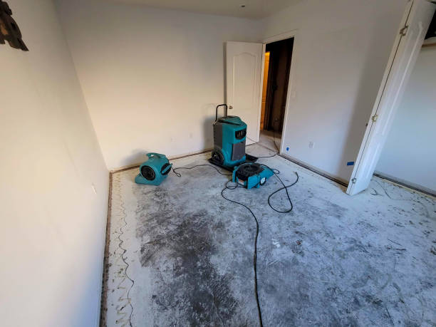 Best Flooded house restoration  in Dunmore, PA
