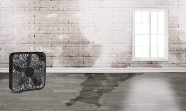 Best Residential water damage restoration  in Dunmore, PA
