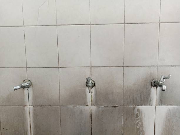 Best Flood restoration services  in Dunmore, PA