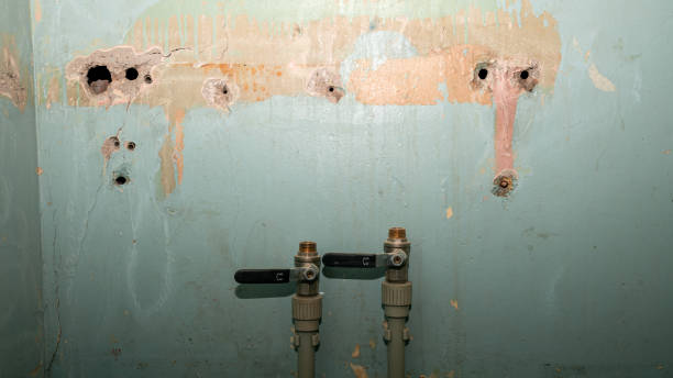 Best Commercial water damage restoration  in Dunmore, PA