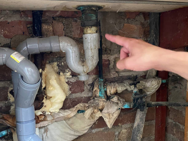 Dunmore, PA Water damage restoration Pros
