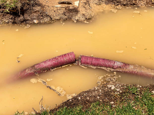 Best Basement water damage restoration  in Dunmore, PA