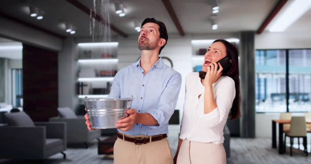 Best Water damage restoration services  in Dunmore, PA